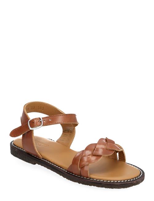 ANGULUS Sandals - Flat - Open Toe - Op ANGULUS Brown