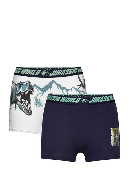 Boxer Sun City Jurassic Park Navy