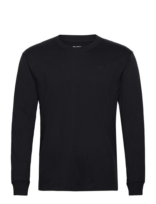 Hco. Guys Knits Hollister Black