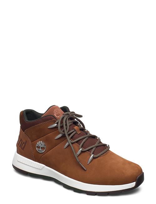 Mid Lace Up Sneaker Timberland Brown