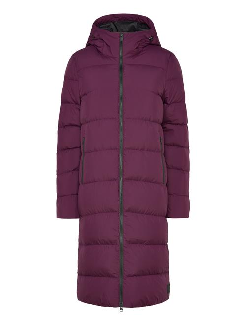 Frozen Palace Coat W Jack Wolfskin Purple