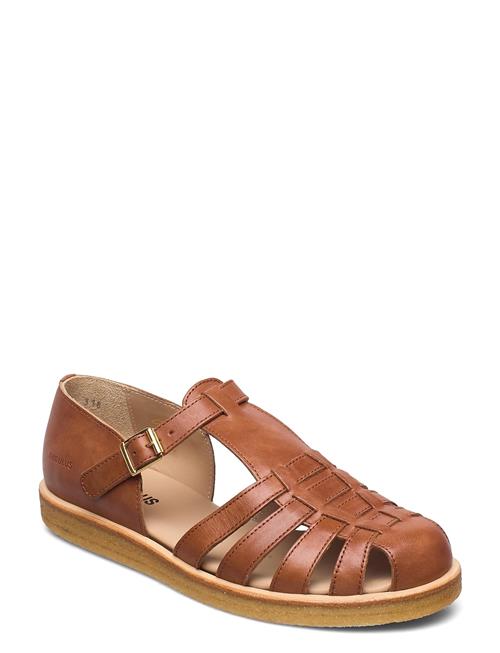 Sandals - Flat - Closed Toe - Op ANGULUS Brown