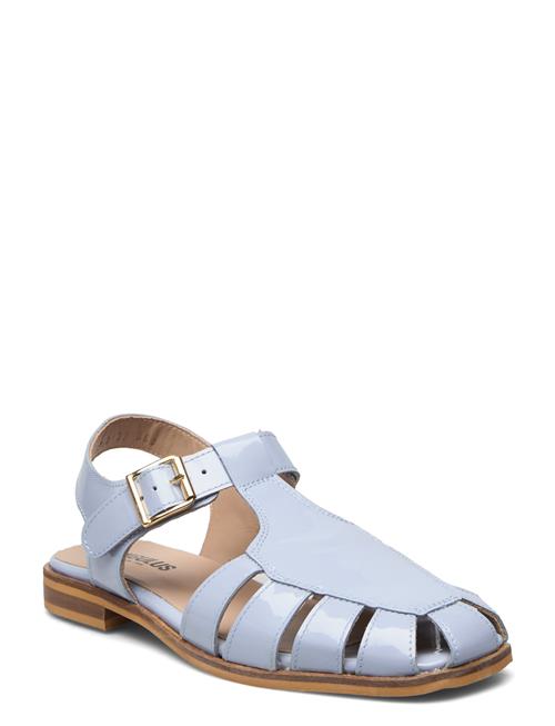 ANGULUS Sandals - Flat - Closed Toe - Op ANGULUS Blue