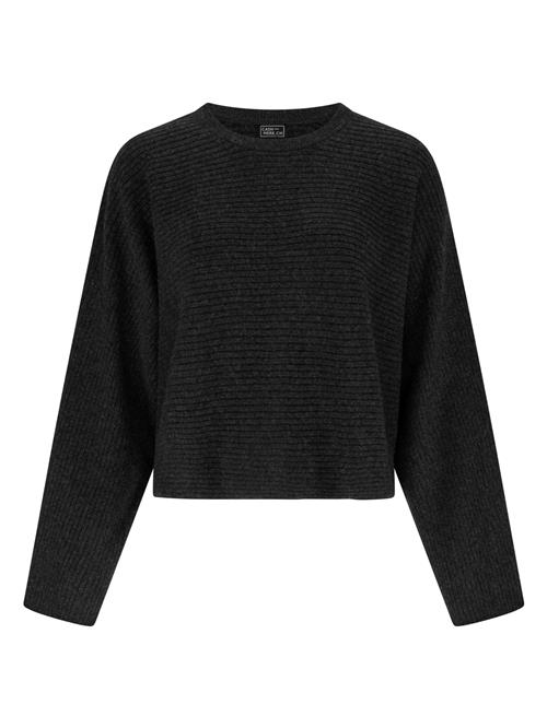 CASH-MERE.CH Pullover  antracit