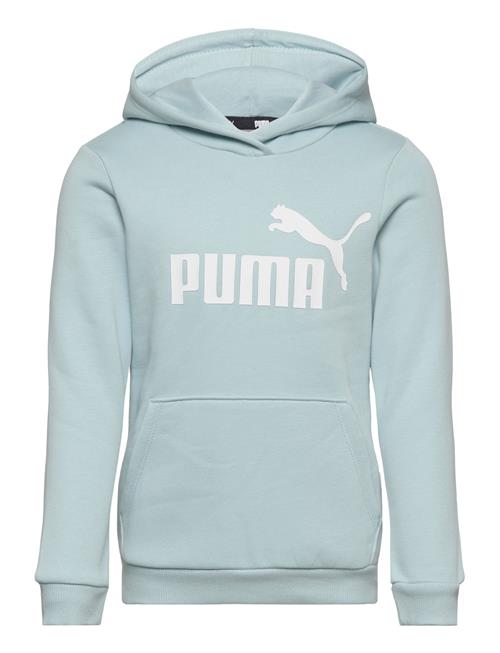 Ess Logo Hoodie Fl G PUMA Blue