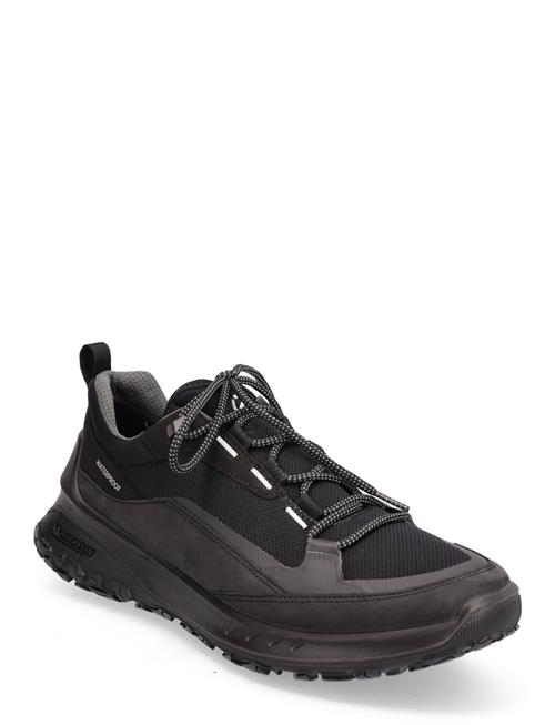 ECCO Ult-Trn M ECCO Black