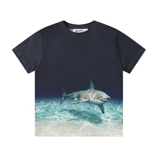 Molo Roxo T-shirt Faded Shark | Marine blå | 98 cm