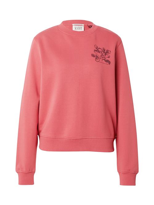 SCOTCH & SODA Sweatshirt  knaldrød / mørkerød