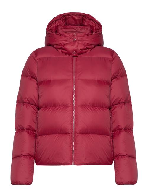 Calvin Klein Jeans Mw Down Short Puffer Calvin Klein Jeans Pink