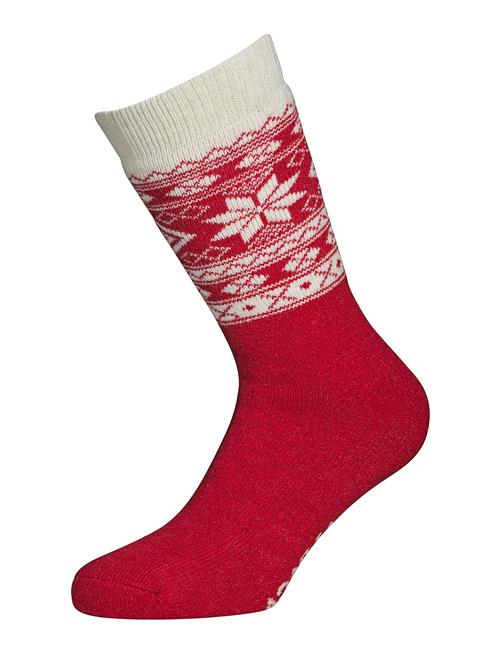 Alpacasocks&Co Winter Alpaca 1-Pack Alpacasocks&Co Red