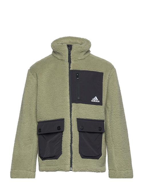 adidas Sportswear J Sherpa Jkt Adidas Sportswear Green