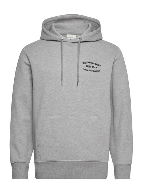 GANT Small Graphic Sweat Hoodie GANT Grey