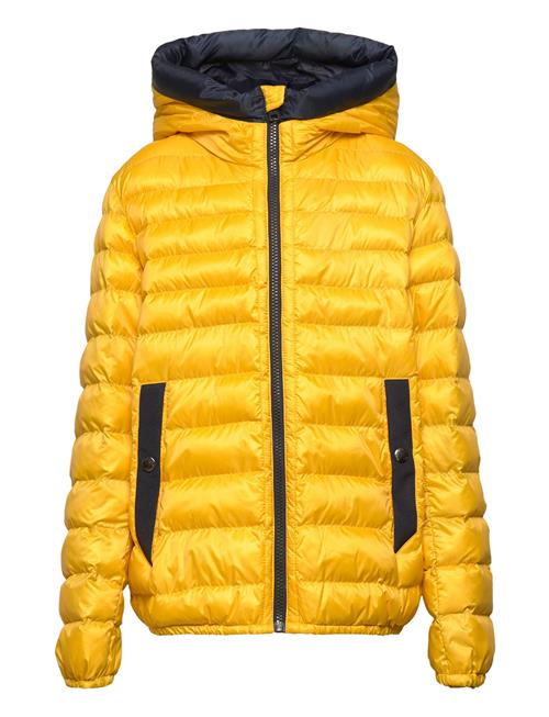 Sundance Hoodie Jacket WOOLRICH Yellow