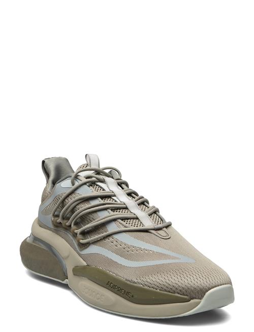 Alphaboost V1 Adidas Sportswear Khaki