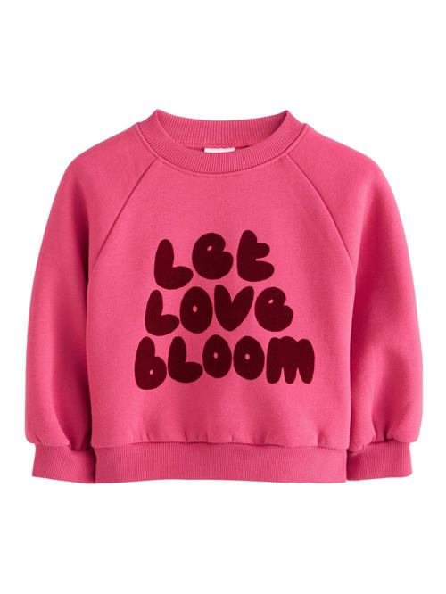 Next Sweatshirt  brun / pink