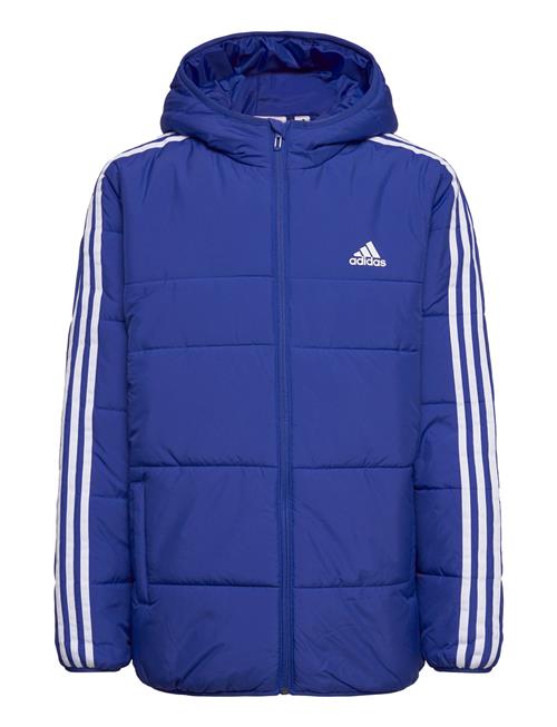 3-Stripes Padded Jacket Kids Adidas Sportswear Blue