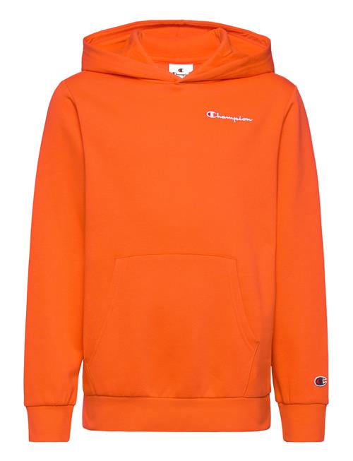 Hooded Sweatshirt Champion Orange