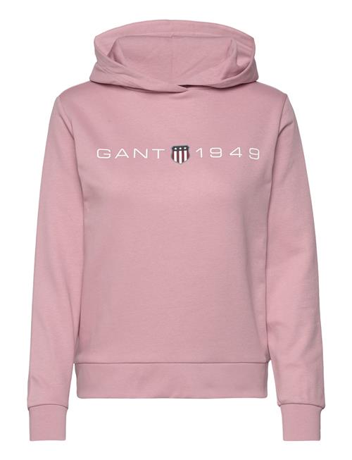 Reg Printed Graphic Hoodie GANT Pink