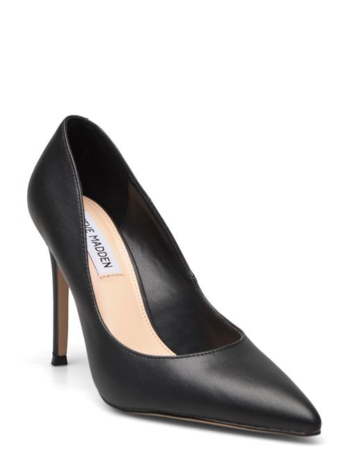 Evelyn-E Pump Steve Madden Black