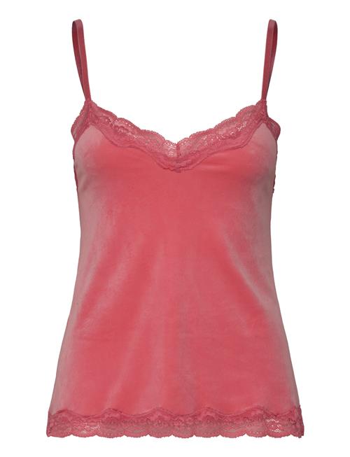 Cami Velours Scallop Lace Hunkemöller Red