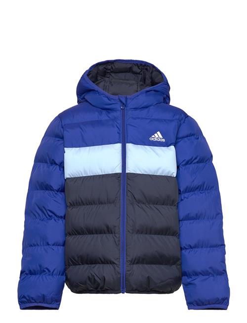 J Sd Jkt Adidas Sportswear Blue