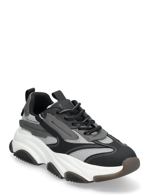 Steve Madden Possess Sneaker Steve Madden Black