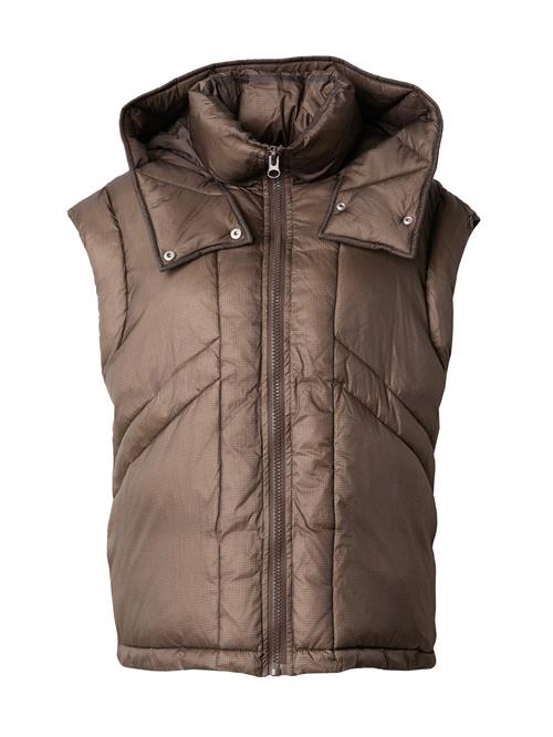 TOPSHOP Vest  brun