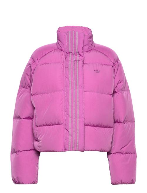 adidas Originals Short Down Jacket Adidas Originals Pink