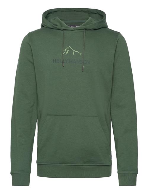 F2F Organic Cotton Hoodie Helly Hansen Green