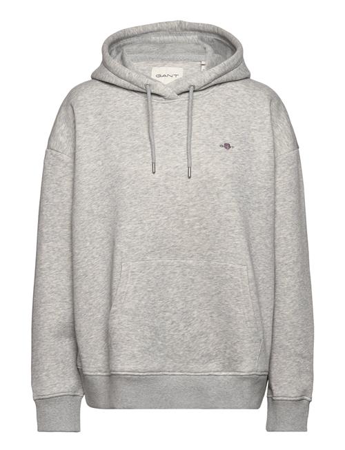 GANT Rel Shield Hoodie GANT Grey