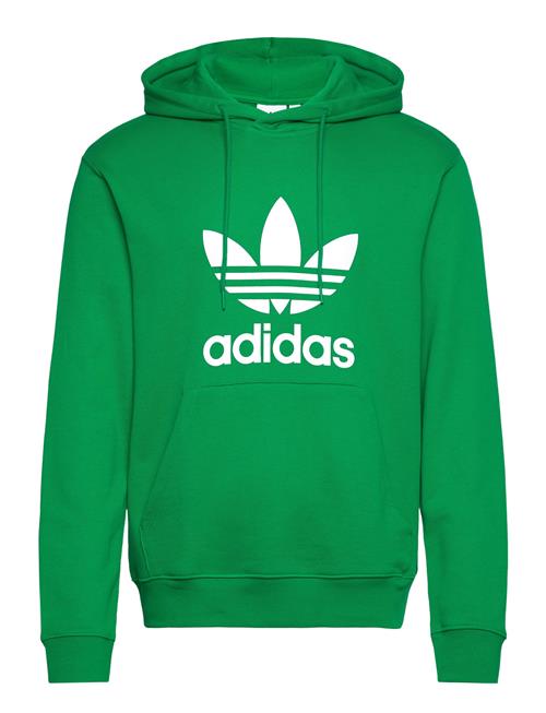 adidas Originals Adicolor Classics Trefoil Hoody Adidas Originals Green