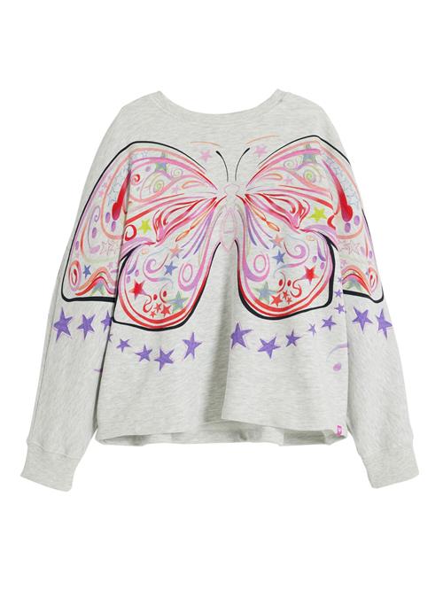 Desigual Sweatshirt  grå / blandingsfarvet