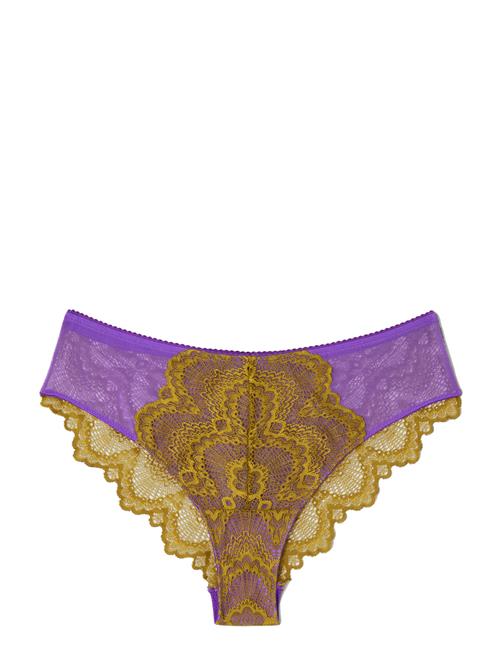 Understatement Underwear Lace Cheeky Understatement Underwear Purple