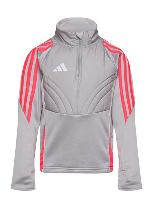 adidas Performance Tiro24 Wintopy Adidas Performance Grey