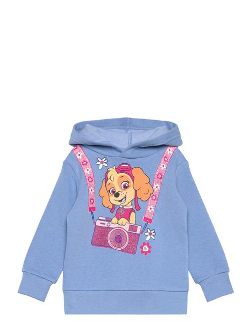 Paw Patrol Sweats Paw Patrol Blue