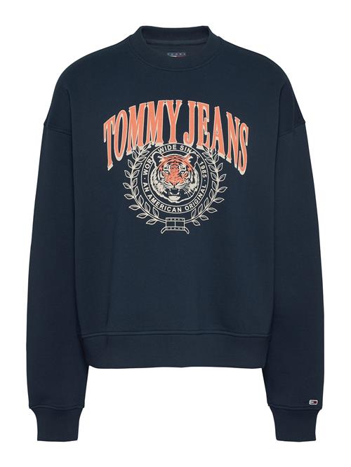 Tommy Jeans Sweatshirt  marin / laks / hvid