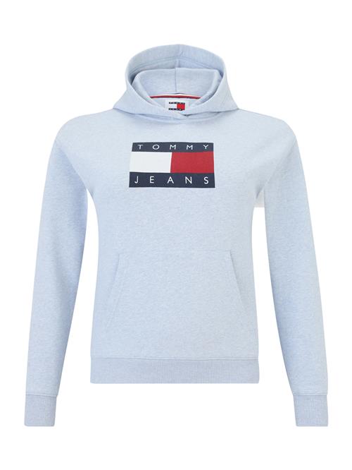 Tommy Jeans Sweatshirt  navy / lyseblå / rød / hvid