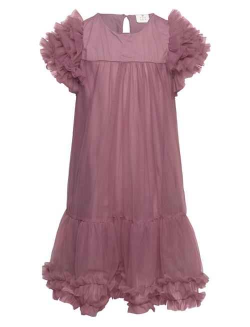 The New Tnhelen Dress The New Pink