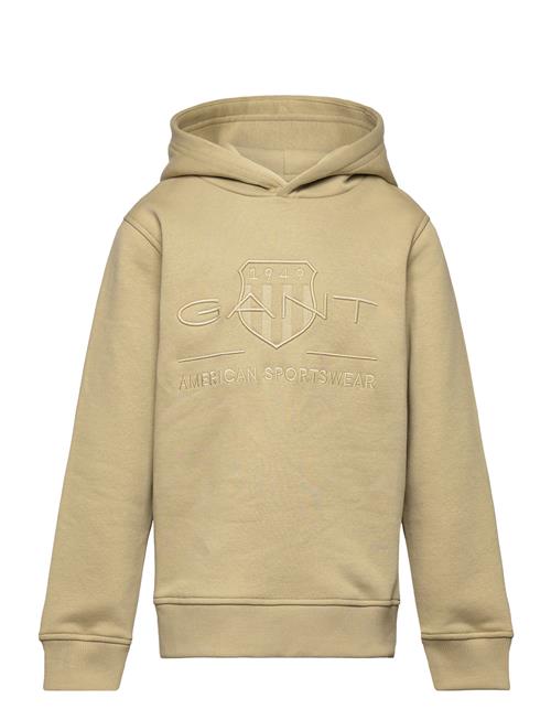 GANT Tonal Shield Hoodie GANT Khaki