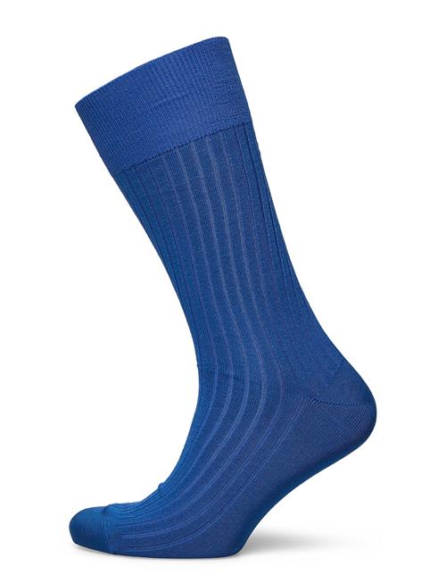 AN IVY Cobalt Blue Ribbed Socks AN IVY Blue