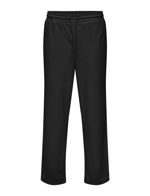 Onssinus Life Loose Plizze Pant ONLY & SONS Black