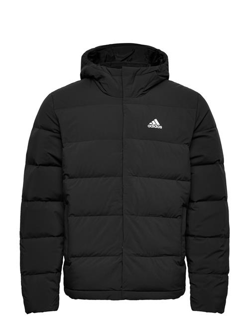 adidas Sportswear Helionic Ho Jkt Adidas Sportswear Black