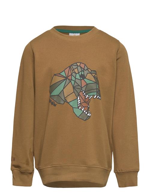 The New Tnlazaron Sweatshirt The New Brown