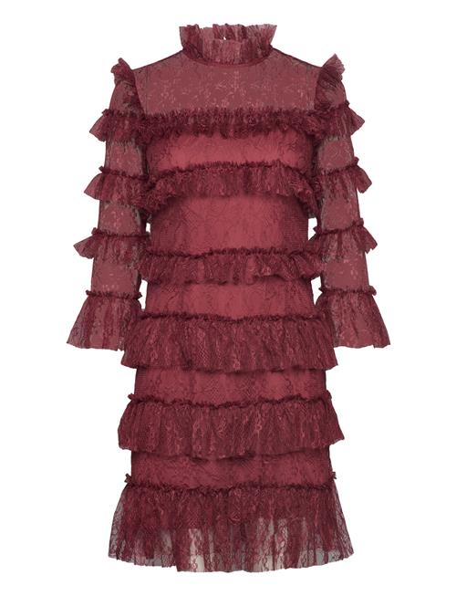 Malina Carmine Frill Lace Mini Dress Malina Burgundy