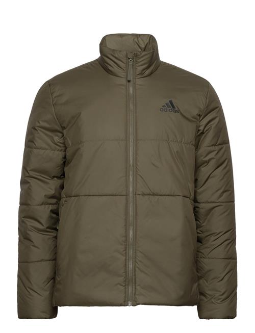 adidas Sportswear Bsc 3S Ins Jkt Adidas Sportswear Green