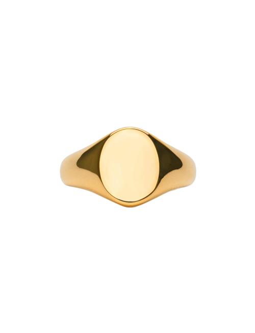 Ix Mini Oval Signet Ring IX Studios Gold