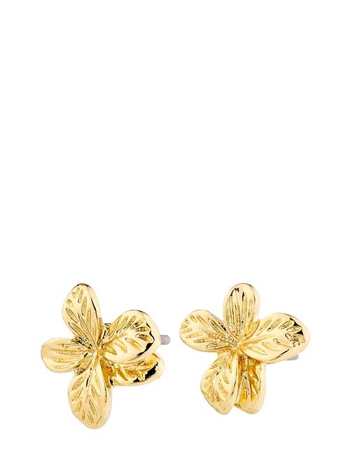 Charmaine Recycled Earrings Pilgrim Gold