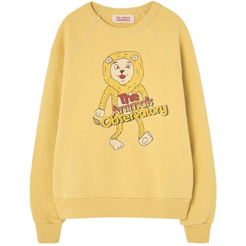 The Animals Observatory Shark Kid Sweatshirt Yellow | Gul | 6 years