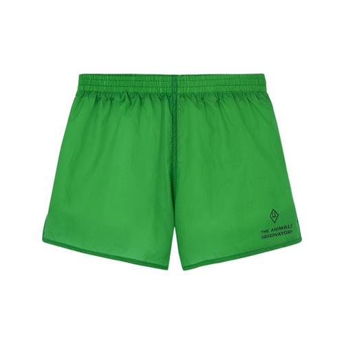 The Animals Observatory Spider Kid Shorts Green | Grønn | 4 years