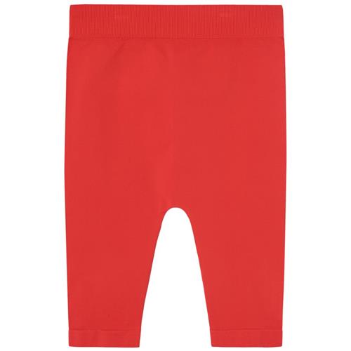 The Animals Observatory Sardine Kid Leggings Red | Rød | 4-6 years